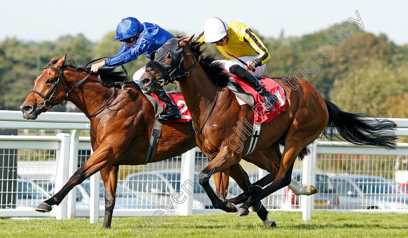 Lyndon-B-0003 
 LYNDON B (right, James Doyle) beats MARHABAN (left) in The Play 4 To Score At Betway Handicap
Sandown 30 Aug 2019 - Pic Steven Cargill / Racingfotos.com