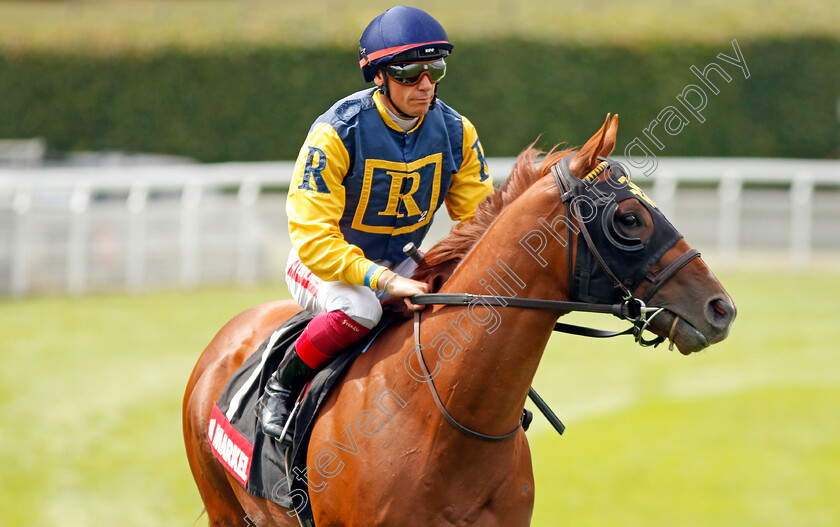 Maven-0001 
 MAVEN (Frankie Dettori)
Goodwood 31 Jul 2019 - Pic Steven Cargill / Racingfotos.com