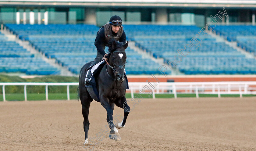 Heart-Of-Honor-0002 
 HEART OF HONOR training at the Dubai Racing Carnival 
Meydan 2 Jan 2025 - Pic Steven Cargill / Racingfotos.com