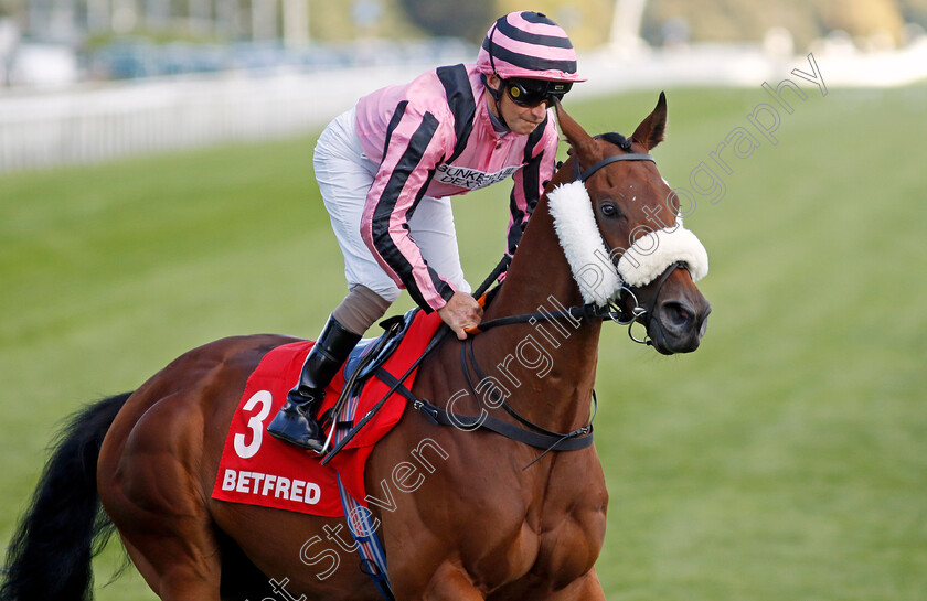 Evaluation-0001 
 EVALUATION (Joe Fanning)
Doncaster 13 Sep 2024 - Pic Steven Cargill / Racingfotos.com