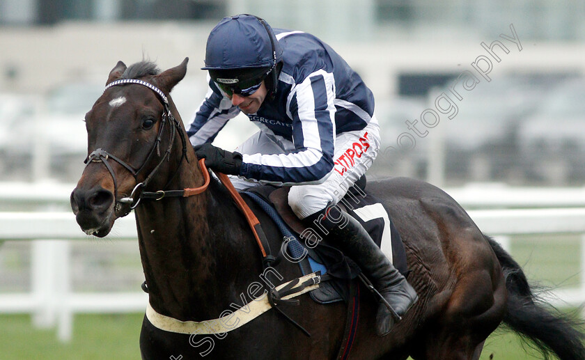 Nobby-0004 
 NOBBY (Wayne Hutchinson)
Newbury 22 Mar 2019 - Pic Steven Cargill / Racingfotos.com