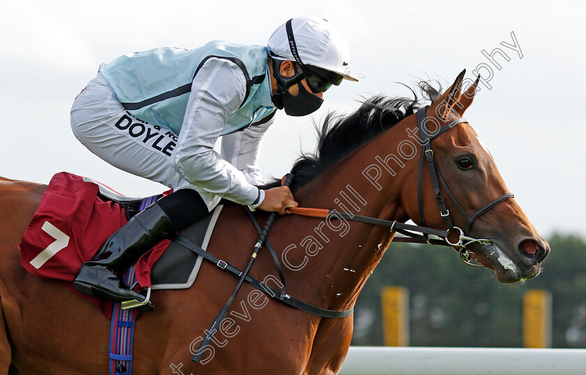 Teodolina-0006 
 TEODOLINA (Sean Levey) wins The Betfair Exchange Free Bet Streak EBF Fillies Novice Stakes
Haydock 4 Sep 2020 - Pic Steven Cargill / Racingfotos.com