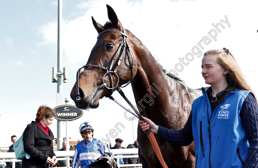 Bye-Bye-Hong-Kong-0008 
 BYE BYE HONG KONG after The Woodford Reserve Cardinal Conditions Stakes
Chelmsford 11 Apr 2019 - Pic Steven Cargill / Racingfotos.com