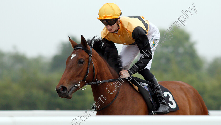 Cuillin-0001 
 CUILLIN (Daniel Muscutt)
Chelmsford 31 May 2018 - Pic Steven Cargill / Racingfotos.com