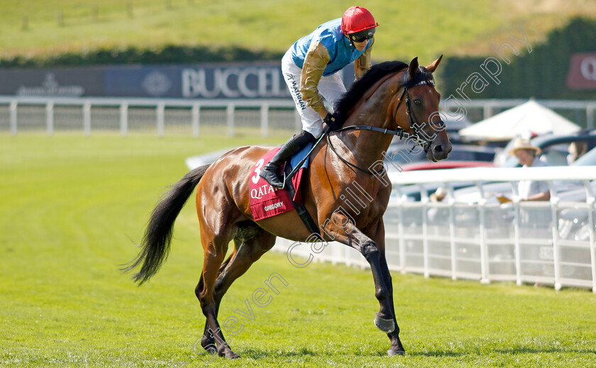 Gregory-0001 
 GREGORY (James Doyle)
Goodwood 30 Jul 2024 - Pic Steven Cargill / Racingfotos.com