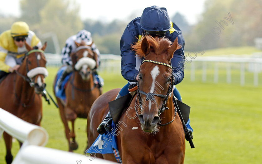 Al-Mubhir-0002 
 AL MUBHIR (William Buick) wins The Madri Excepcional King Richard III Cup Handicap
Leicester 29 Apr 2023 - Pic Steven Cargill / Racingfotos.com