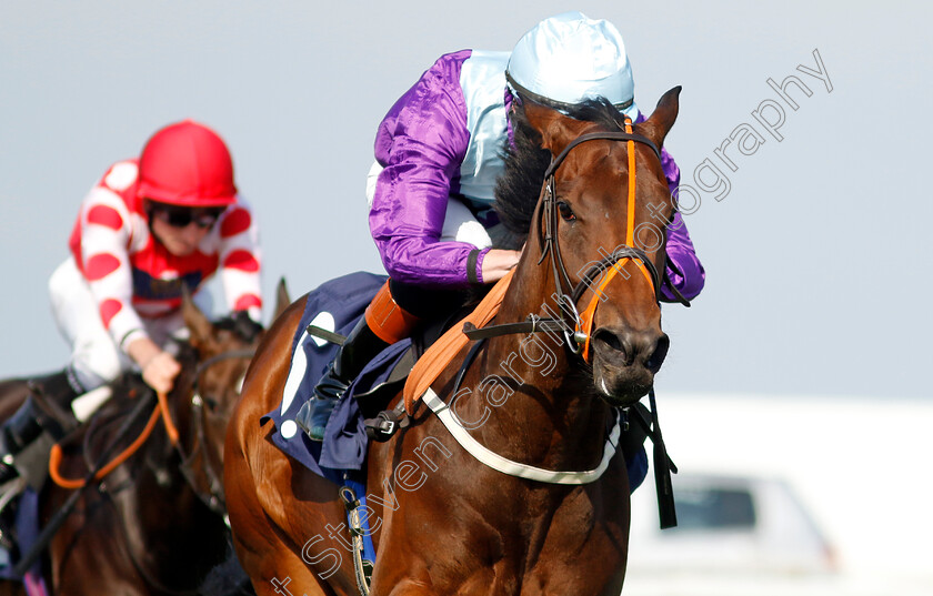 Hold-A-Dream-0002 
 HOLD A DREAM (Rossa Ryan) wins The Britiish EBF Fillies Novice Stakes
Yarmouth 18 Sep 2024 - Pic Steven Cargill / Racingfotos.com