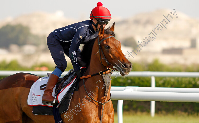 Fev-Rover-0004 
 FEV ROVER (Paddy Mathers) exercising in preparation for Friday's Bahrain International Trophy
Sakhir Racecourse, Bahrain 17 Nov 2021 - Pic Steven Cargill / Racingfotos.com