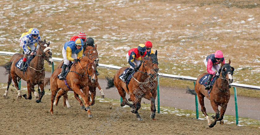 Lingfield-0001 
 ASK THE GURU leads the field in the snow at Lingfield in race won by ROUNDABOUT MAGIC (black) 27 Feb 2018 - Pic Steven Cargill / Racingfotos.com