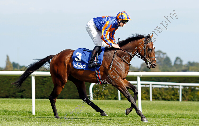 Bremen-0001 
 BREMEN (Gavin Ryan)
Leopardstown 9 Sep 2023 - Pic Steven Cargill / Racingfotos.com