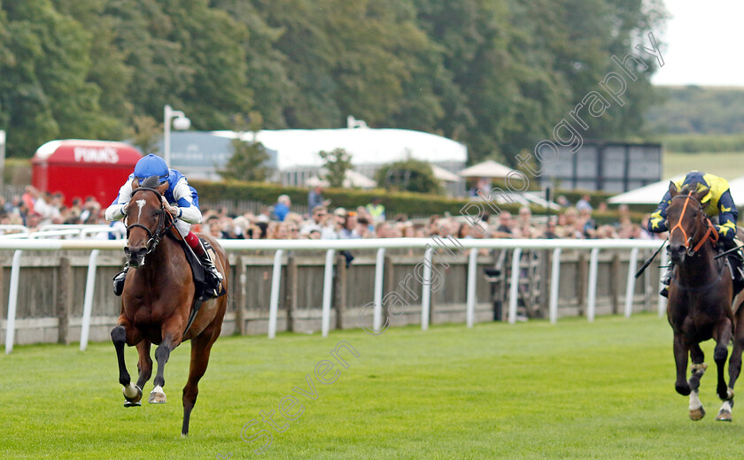 Les-Bleus-0006 
 LES BLEUS (David Egan) wins The British Stallion Studs EBF Restricted Novice Stakes
Newmarket 28 Jul 2023 - Pic Steven Cargill / Racingfotos.com