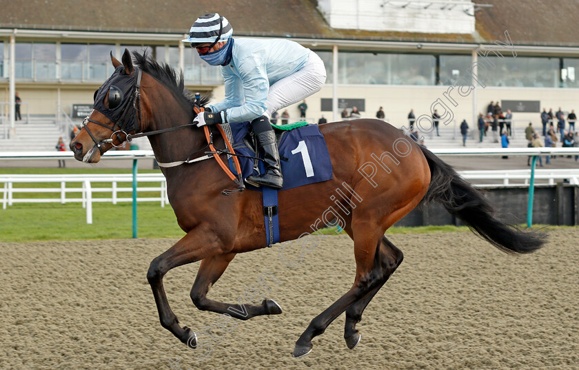 Trans-Montana 
 TRANS MONTANA (John Fahy)
Lingfield 1 Dec 2021 - Pic Steven Cargill / Racingfotos.com