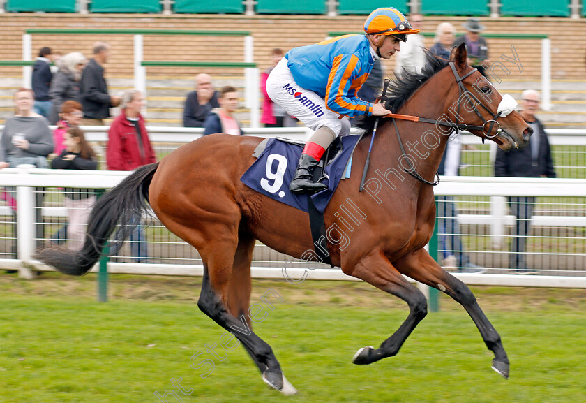 Hourglass-0001 
 HOURGLASS (Andrea Atzeni) Yarmouth 24 Oct 2017 - Pic Steven Cargill / Racingfotos.com