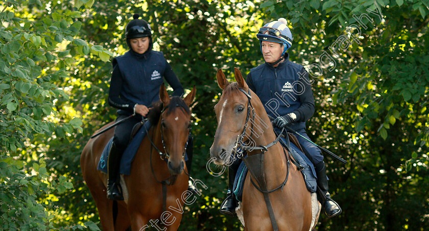 Richard-Hills-0002 
 Richard Hills leads Bryony Frost in preparing arabian horses for the DIAR at Newbury
Newmarket 28 Jun 2019 - Pic Steven Cargill / Racingfotos.com