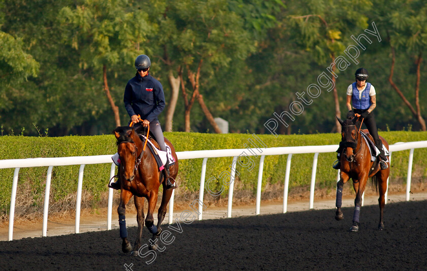 Kahraman-and-Hala-Abrar-0002 
 KAHRAMAN leads HALA ABRAR training at the Dubai Racing Carnival
Meydan 1 Feb 2024 - Pic Steven Cargill / Racingfotos.com