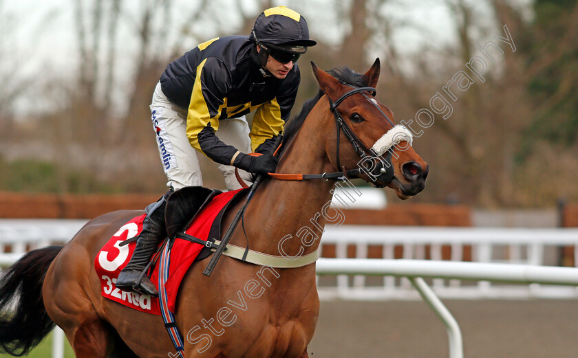 Elegant-Escape-0001 
 ELEGANT ESCAPE (Tom O'Brien) Kempton 26 Dec 2017 - Pic Steven Cargill / Racingfotos.com