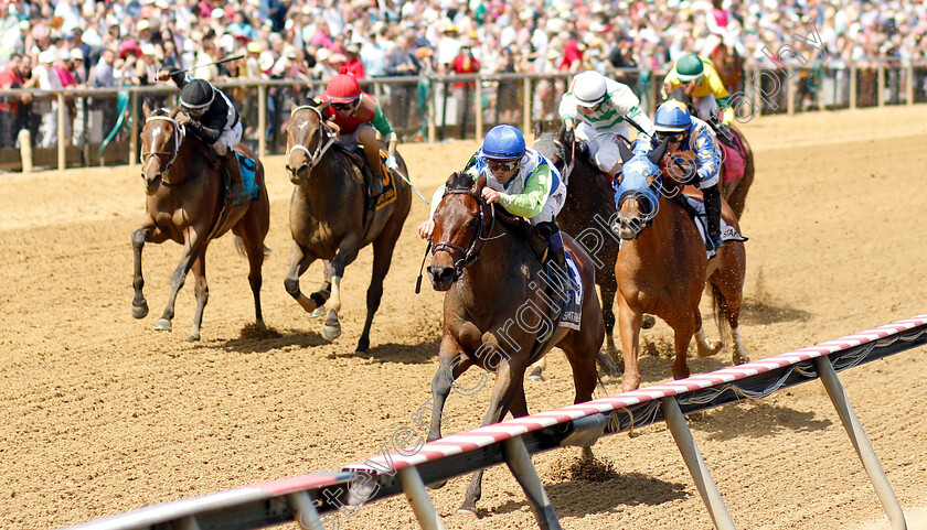 Chalon-0002 
 CHALON (Javier Castellano) wins The Skipat Stakes
Pimlico, Baltimore USA, 17 May 2019 - Pic Steven Cargill / Racingfotos.com