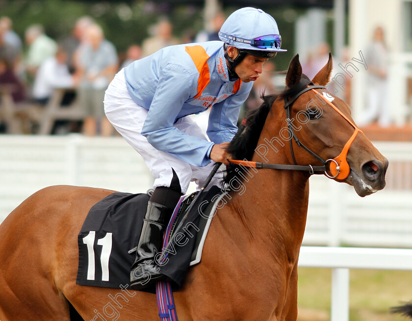 Ventura-Glory-0001 
 VENTURA GLORY (Sean Levey)
Chelmsford 13 Jun 2018 - Pic Steven Cargill / Racingfotos.com