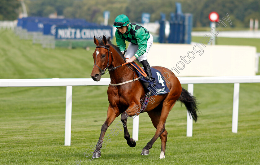 Miller-Spirit-0002 
 MILLER SPIRIT (Rhys Clutterbuck)
Ascot 26 Jul 2024 - Pic Steven Cargill / Racingfotos.com