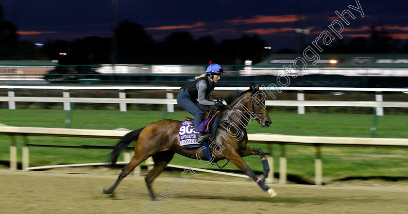 Comedy-0001 
 COMEDY exercising ahead of The Breeders' Cup Juvenile Turf Sprint
Churchill Downs 31 Oct 2018 - Pic Steven Cargill / Racingfotos.com