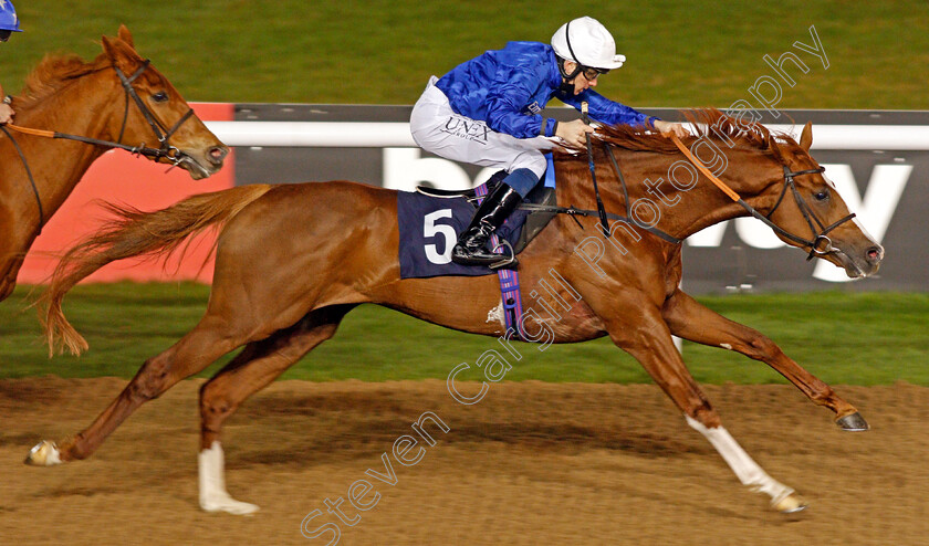 Untold-Story-0006 
 UNTOLD STORY (Callum Shepherd) wins The Betway Novice Stakes
Wolverhampton 5 Dec 2020 - Pic Steven Cargill / Racingfotos.com