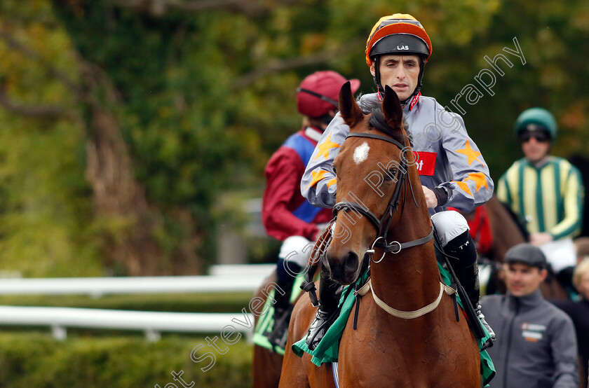 Equuleus-Star-0001 
 EQUULEUS STAR (Trevor Whelan)
Kempton 2 Oct 2024 - pic Steven Cargill / Racingfotos.com