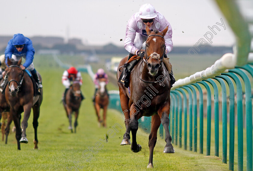 Anzac-Day-0004 
 ANZAC DAY (James Doyle) wins The Visit racingtv.com Maiden Stakes
Newmarket 25 Oct 2023 - Pic Steven Cargill / Racingfotos.com