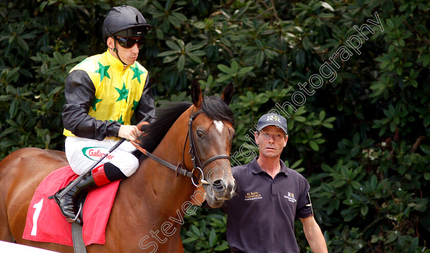 Aussie-Showstopper-0001 
 AUSSIE SHOWSTOPPER (Shane Kelly)
Sandown 5 Jul 2019 - Pic Steven Cargill / Racingfotos.com