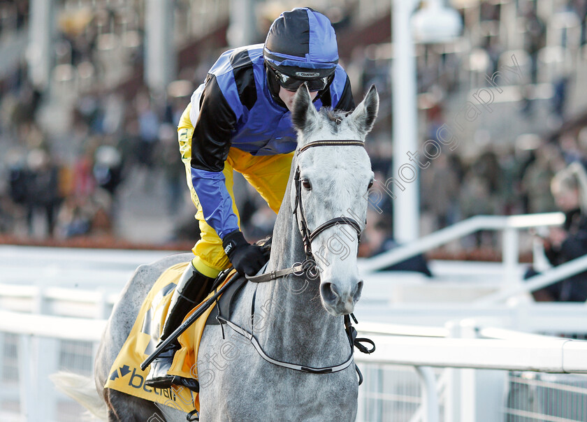 Mister-Fogpatches-0001 
 MISTER FOGPATCHES (Daniel Mullins)
Cheltenham 10 Dec 2021 - Pic Steven Cargill / Racingfotos.com