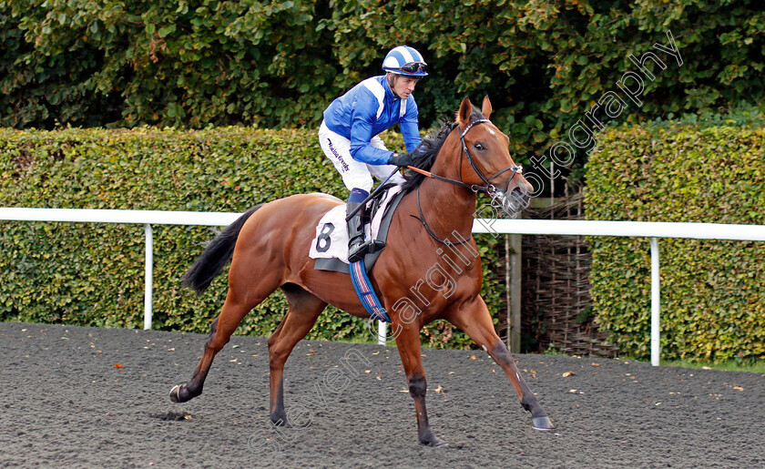 Raajin-0001 
 RAAJIN (Jim Crowley)
Kempton 9 Oct 2019 - Pic Steven Cargill / Racingfotos.com