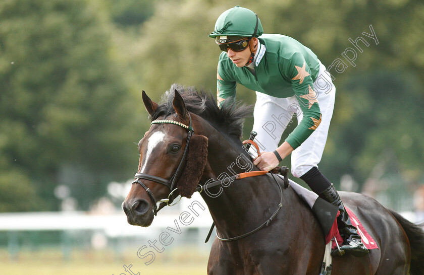 The-Grand-Visir-0001 
 THE GRAND VISIR (James Doyle) before winning The Amix Ready Mixed Concrete Handicap
Haydock 26 May 2018 - Pic Steven Cargill / Racingfotos.com