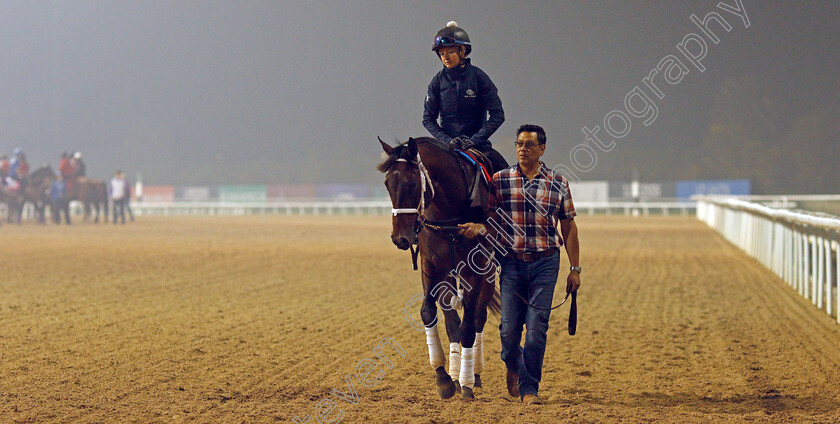 Life-Is-Good-0017 
 LIFE IS GOOD training for the Dubai World Cup
Meydan, Dubai, 22 Mar 2022 - Pic Steven Cargill / Racingfotos.com