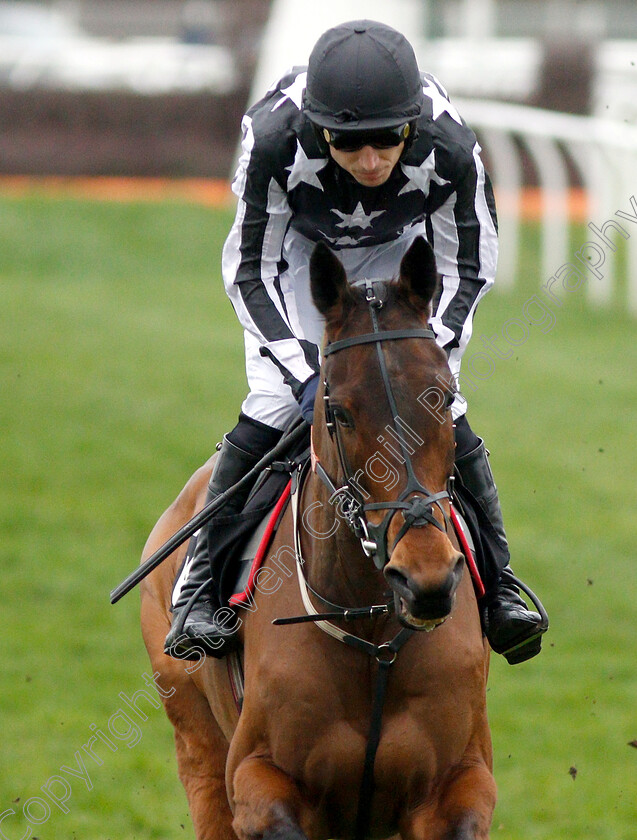 Imperial-Alcazar-0002 
 IMPERIAL ALCAZAR (Paddy Brennan)
Newbury 22 Mar 2019 - Pic Steven Cargill / Racingfotos.com