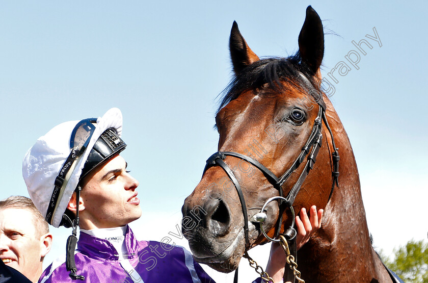 Magna-Grecia-0014 
 MAGNA GRECIA (Donnacha O'Brien) after The Qipco 2000 Guineas
Newmarket 4 May 2019 - Pic Steven Cargill / Racingfotos.com