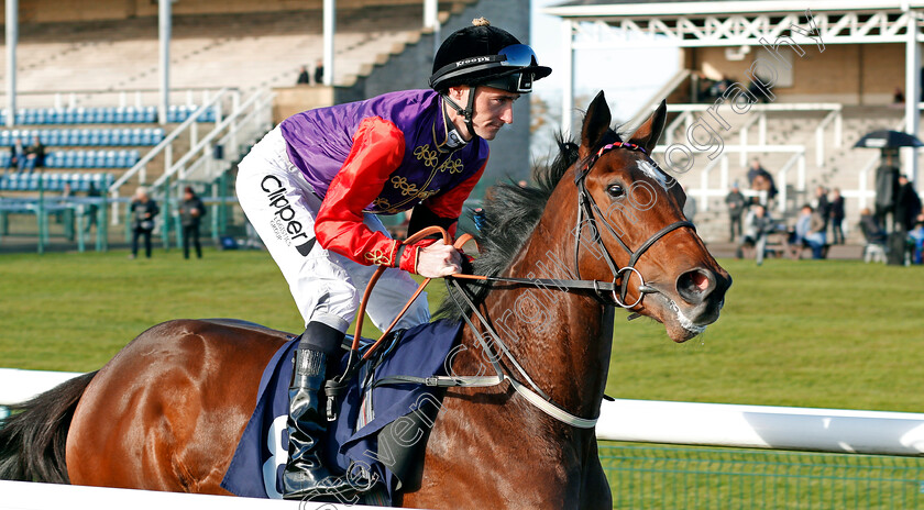 Any-Little-Rhyme-0001 
 ANY LITTLE RHYME (Daniel Tudhope) Doncaster 11 Nov 2017 - Pic Steven Cargill / Racingfotos.com