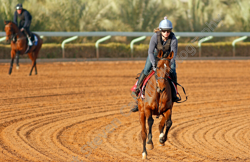 True-Self-0001 
 TRUE SELF preparing for the Turf Handicap
Riyadh Racecourse, Kingdom of Saudi Arabia 26 Feb 2020 - Pic Steven Cargill / Racingfotos.com