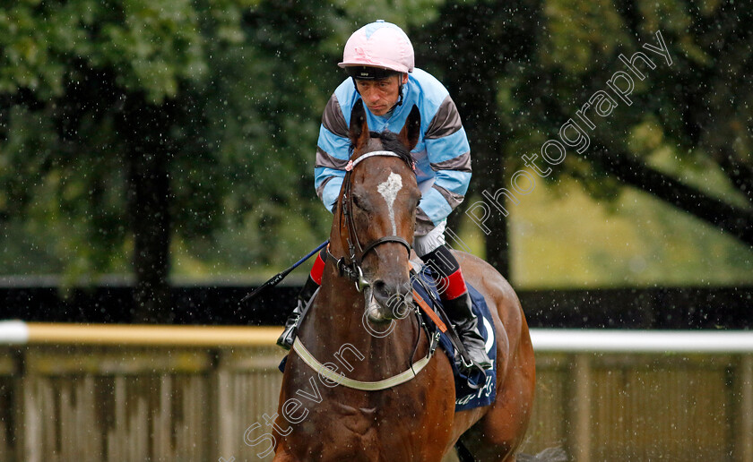 Astral-Beau-0001 
 ASTRAL BEAU (Shane Kelly)
Newmarket 14 Jul 2023 - Pic Steven Cargill / Racingfotos.com