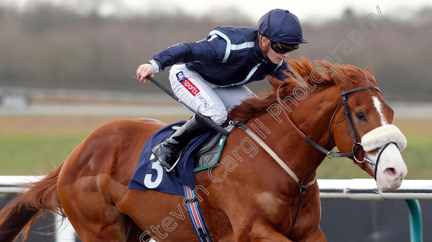 Harvey-Dent-0012 
 HARVEY DENT (Hollie Doyle) wins The Ladbrokes Home Of The Odds Boost Novice Median Auction Stakes
Lingfield 25 Jan 2019 - Pic Steven Cargill / Racingfotos.com