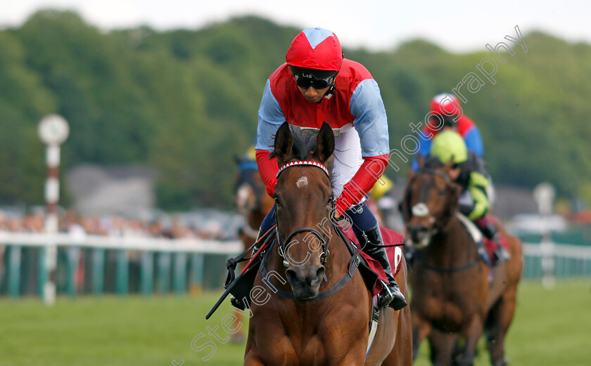 Divine-Comedy-0001 
 DIVINE COMEDY (Kaiya Fraser) wins The Betfred Nifty 50 Hell Nook Handicap
Haydock 25 May 2024 - Pic Steven Cargill / Racingfotos.com