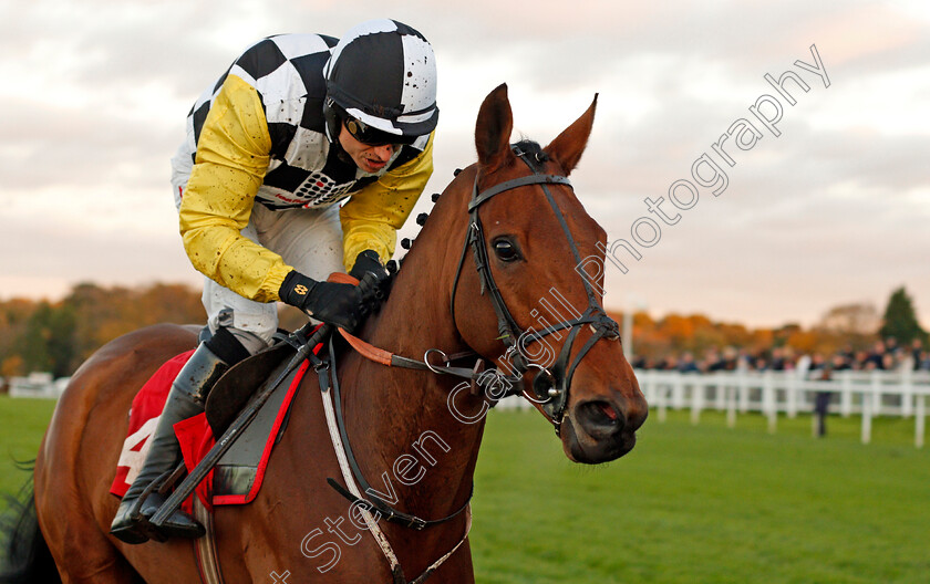 Mercy-Mercy-Me-0005 
 MERCY MERCY ME (Paddy Brennan) wins The Bet £10 Get £20 At 188bet Standard Open National Hunt Flat Race Sandown 12 Nov 2017 - Pic Steven Cargill / Racingfotos.com