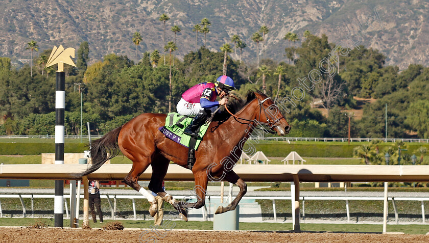 Just-F-Y-I-0003 
 JUST F Y I (Junior Alvorado) wins The Breeders' Cup Juvenile Fillies
Santa Anita 3 Nov 2023 - Pic Steven Cargill / Racingfotos.com