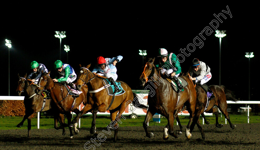 Spark-Plug-0003 
 SPARK PLUG (right, Tom Marquand) beats VERDANA BLUE (3rd left) and ARCHITECTURE (2nd left) in The 32Red Wild Flower Stakes
Kempton 5 Dec 2018 - Pic Steven Cargill / Racingfotos.com