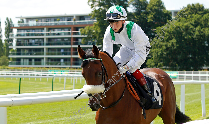 Green-Team-Station-0001 
 GREEN TEAM STATION (David Egan)
Newbury 16 Jul 2021 - Pic Steven Cargill / Racingfotos.com