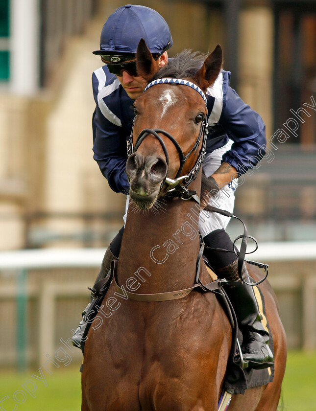 Better-0002 
 BETTER (Kevin Stott)
Newmarket 28 Sep 2023 - Pic Steven Cargill / Racingfotos.com