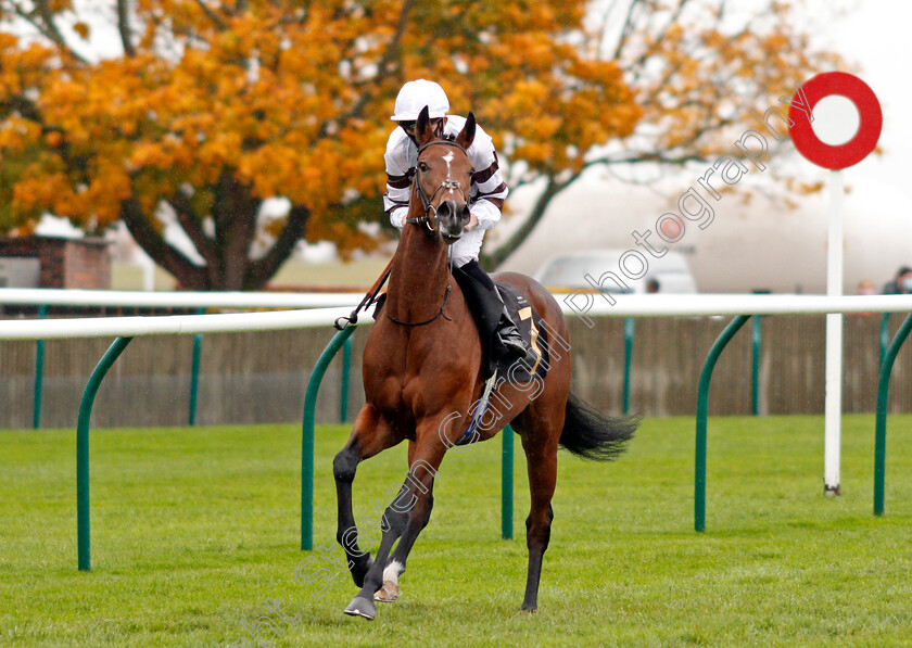 Kalsara-0001 
 KALSARA (Rob Hornby)
Newmarket 21 Oct 2020 - Pic Steven Cargill / Racingfotos.com