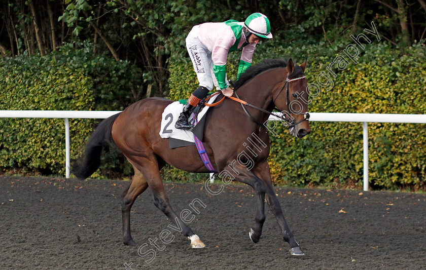 Equilateral-0001 
 EQUILATERAL (Rossa Ryan)
Kempton 2 Oct 2024 - pic Steven Cargill / Racingfotos.com