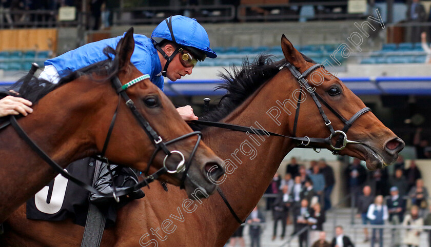 Diamond-Rain-0001 
 DIAMOND RAIN (William Buick) wins The Darley British EBF Fillies Novice Stakes
Ascot 1 May 2024 - Pic Steven Cargill / Racingfotos.com