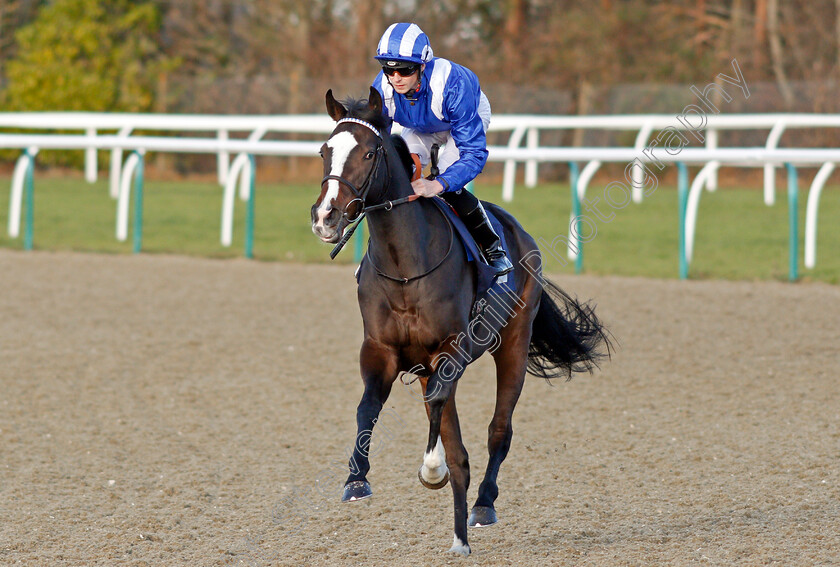 Aqrab-0001 
 AQRAB (Jack Mitchell)
Lingfield 9 Dec 2019 - Pic Steven Cargill / Racingfotos.com