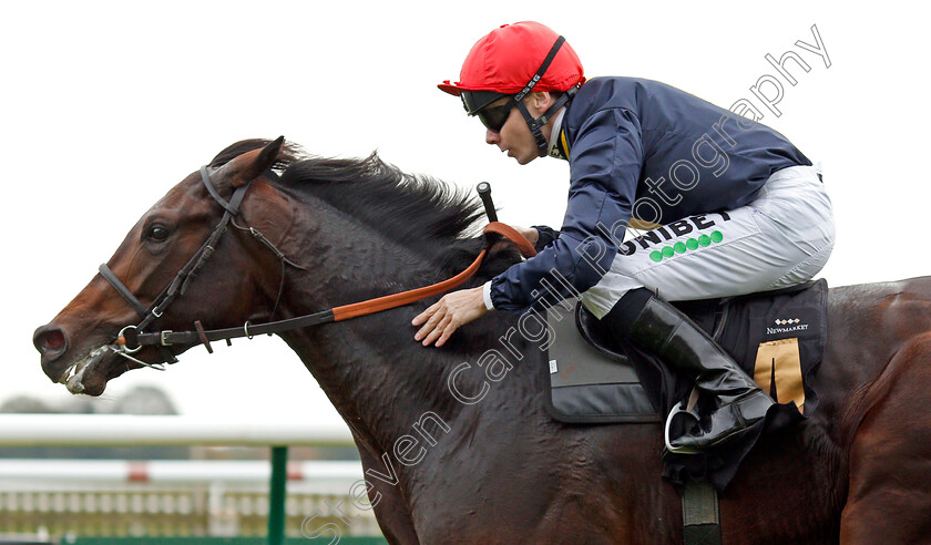 Brentford-Hope-0008 
 BRENTFORD HOPE (Jamie Spencer) wins The Coates & Seely Brut Reserve Maiden Stakes
Newmarket 23 Oct 2019 - Pic Steven Cargill / Racingfotos.com