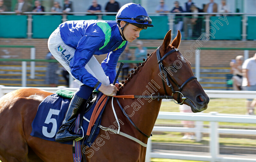 Liberty-Bird-0001 
 LIBERTY BIRD (Billy Loughnane)
Yarmouth 17 Sep 2024 - Pic Steven Cargill / Racingfotos.com